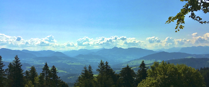 Alps in summer