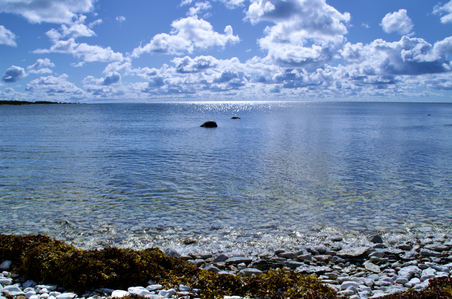 Limestone beach