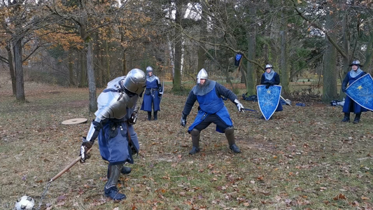 Maurice mit Streitflegel vs Luis mit Zwei Schwerte